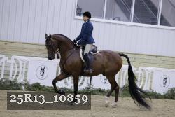 25R13_10859 thumbnail