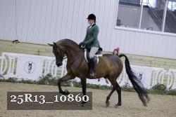 25R13_10860 thumbnail
