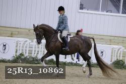 25R13_10862 thumbnail