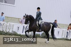 25R13_10863 thumbnail