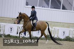 25R13_10867 thumbnail