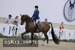 25R13_10871 thumbnail