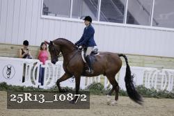 25R13_10872 thumbnail