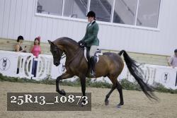 25R13_10873 thumbnail