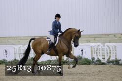 25R13_10875 thumbnail