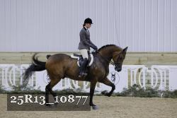 25R13_10877 thumbnail