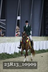 25R13_10909 thumbnail