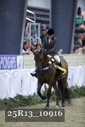 25R13_10916 thumbnail