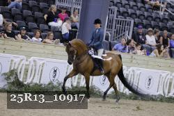 25R13_10917 thumbnail