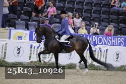 25R13_10926 thumbnail