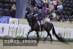 25R13_10929 thumbnail