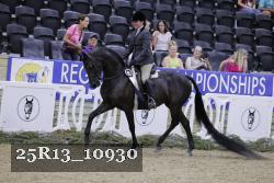 25R13_10930 thumbnail