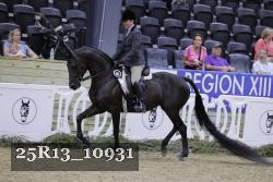 25R13_10931 thumbnail