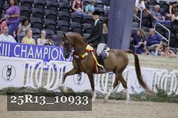25R13_10933 thumbnail