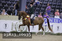 25R13_10935 thumbnail