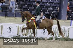 25R13_10936 thumbnail
