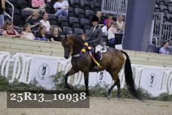 25R13_10938 thumbnail
