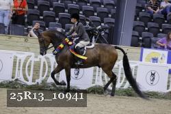 25R13_10941 thumbnail