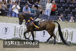25R13_10942 thumbnail