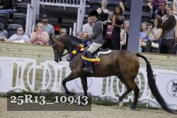 25R13_10943 thumbnail