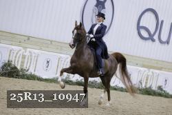 25R13_10947 thumbnail