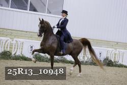 25R13_10948 thumbnail