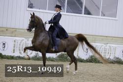 25R13_10949 thumbnail