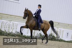25R13_10952 thumbnail