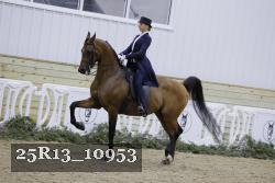 25R13_10953 thumbnail