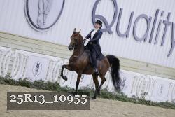 25R13_10955 thumbnail