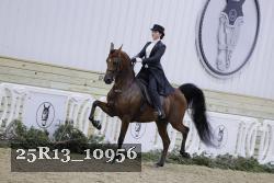 25R13_10956 thumbnail