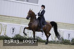 25R13_10957 thumbnail