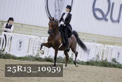 25R13_10959 thumbnail