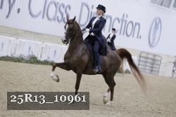 25R13_10961 thumbnail