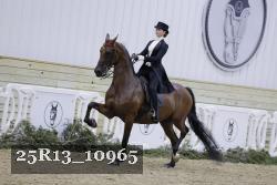 25R13_10965 thumbnail