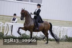 25R13_10966 thumbnail
