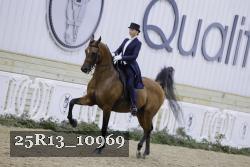 25R13_10969 thumbnail
