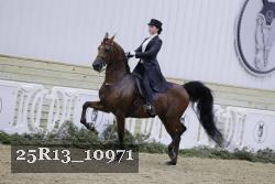 25R13_10971 thumbnail