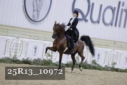 25R13_10972 thumbnail