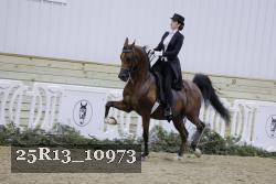 25R13_10973 thumbnail