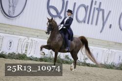 25R13_10974 thumbnail