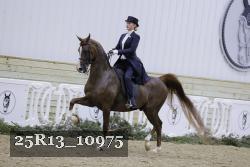 25R13_10975 thumbnail