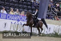 25R13_10991 thumbnail