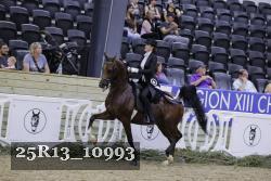 25R13_10993 thumbnail