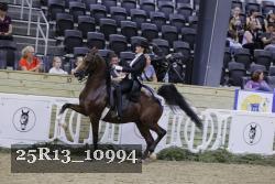 25R13_10994 thumbnail