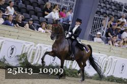 25R13_10999 thumbnail