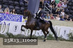 25R13_11000 thumbnail