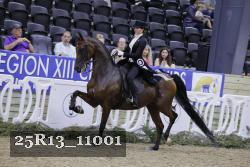 25R13_11001 thumbnail