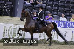 25R13_11002 thumbnail