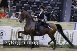 25R13_11003 thumbnail